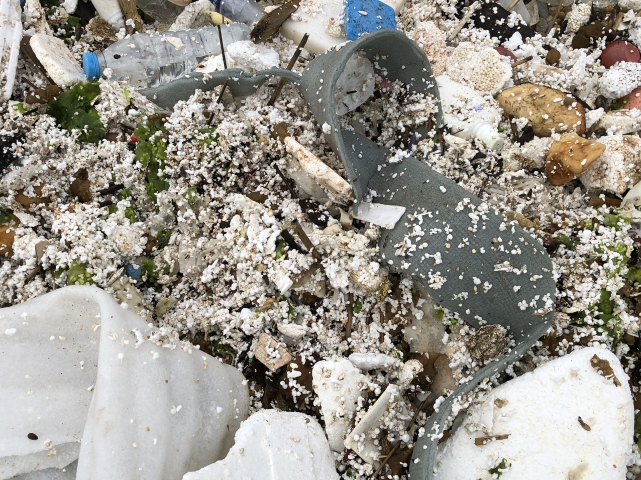 海洋泡沫塑料污染应该引起重视了