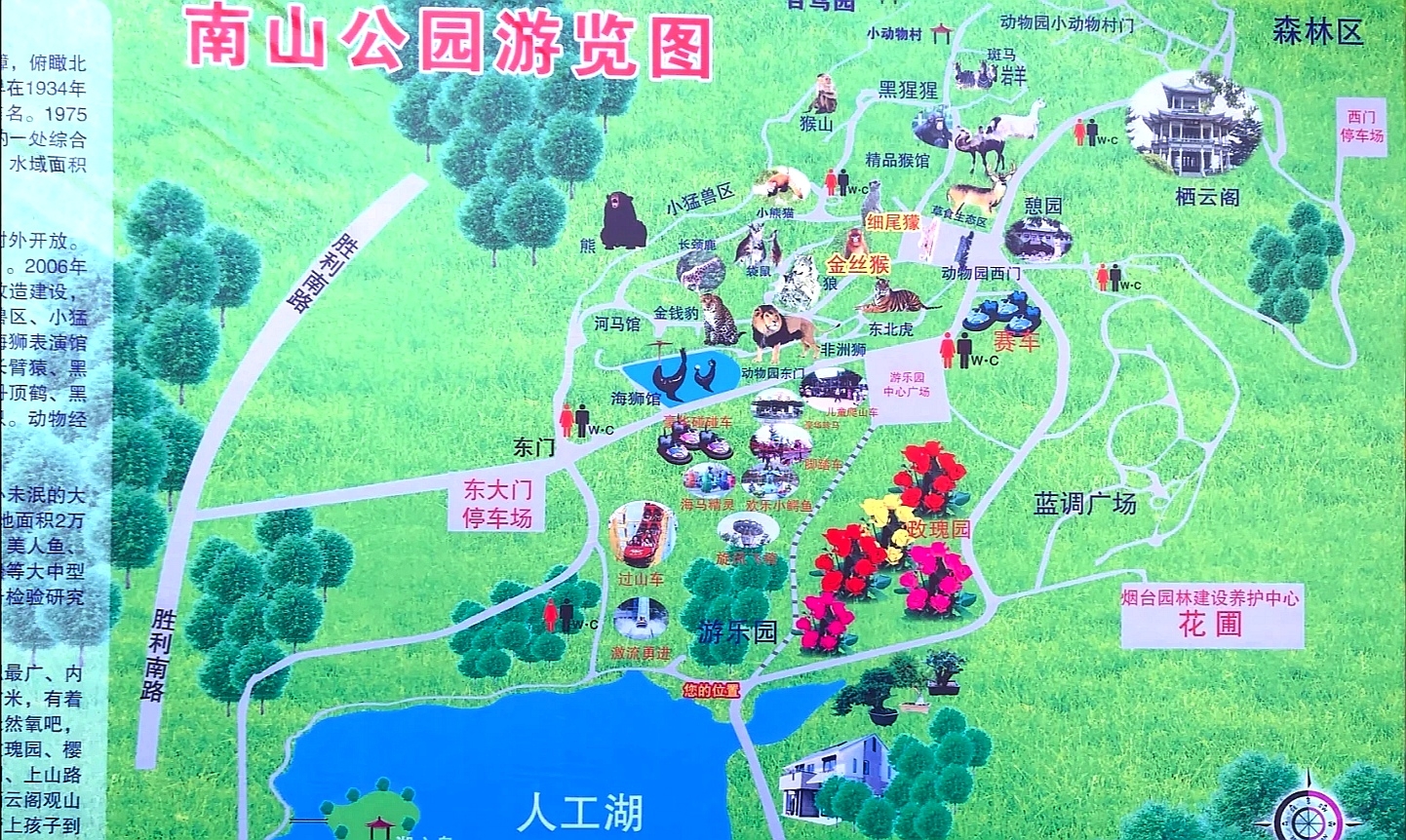 南山公园路线图怎么画图片